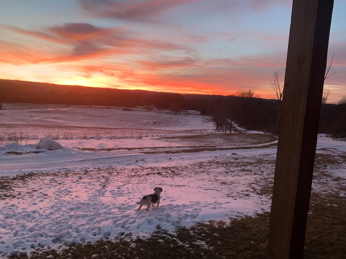 Bruce e.Kosko tweet media