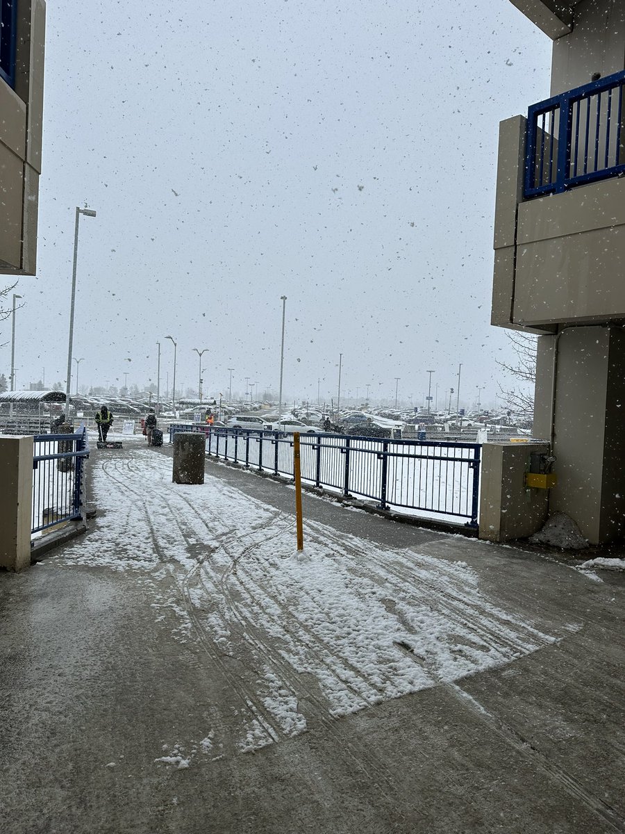 Carinaludgate tweet media