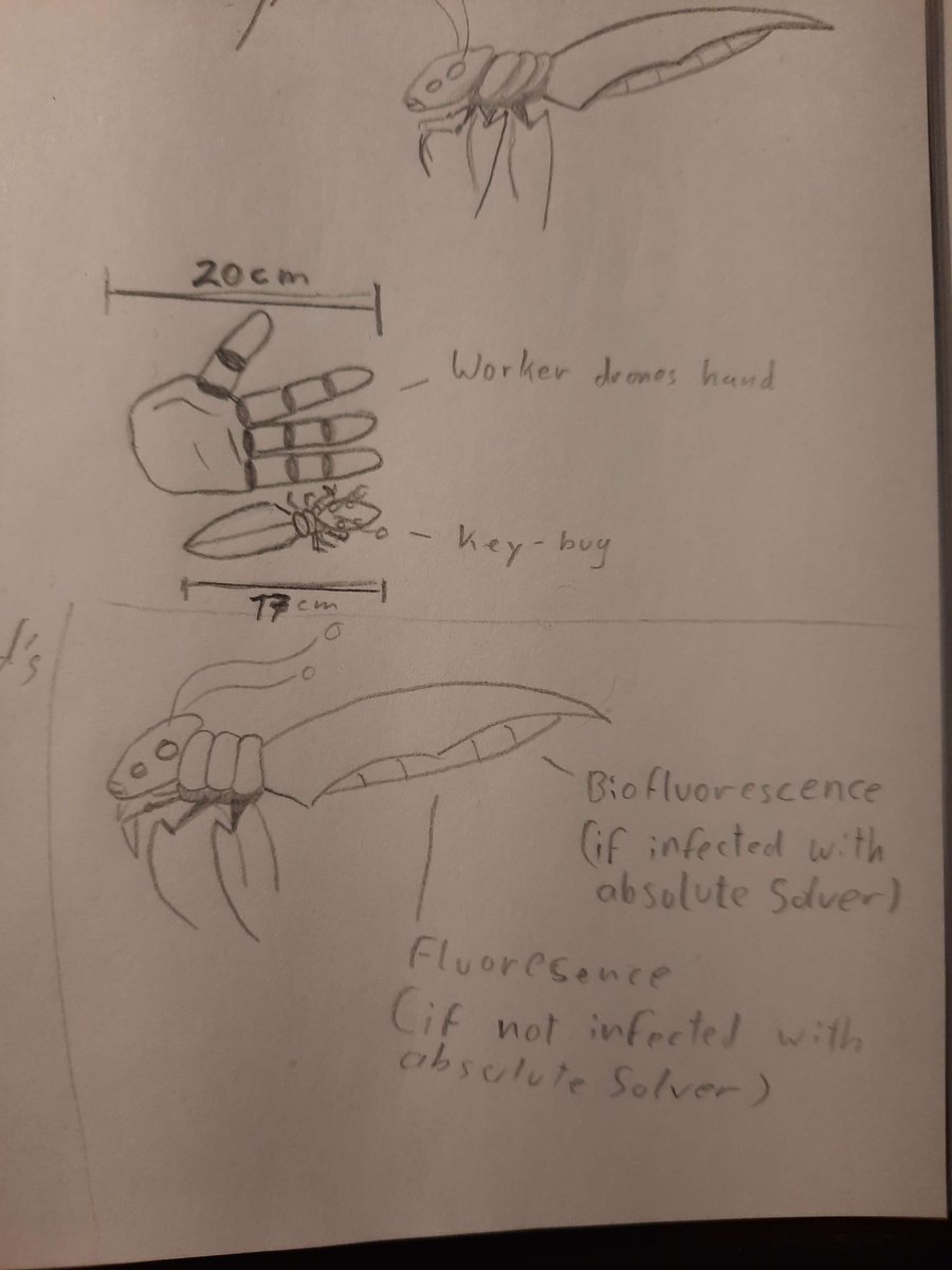1_bogeyman's tweet photo. The Key-Bug
This is the key bug in the MD-AU (MD Rusted circuits).
The Key-Bug is inspired by the infamous blade bug. These blade bugs have existed before Cyn, Cyn likes to use them to scare people.
#murderdrones #keybug #MDRustedcircuits
(1/3) https://t.co/OsmzSRb50t