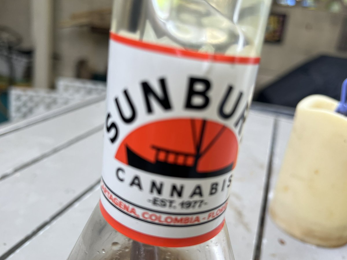 m0dernxtasy's tweet image. #springbreakforever🌴