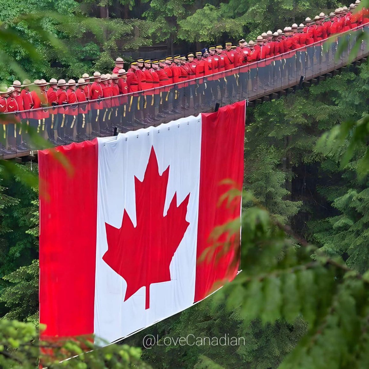 If you're an American who fully supports our friends to the north, Canada, drop a 🇨🇦 below 👇