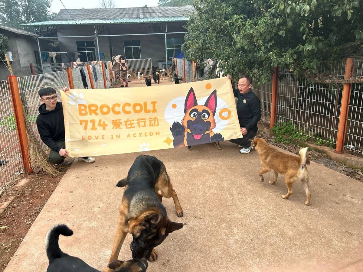 BTCyanyuan's tweet image. 真假无须多言