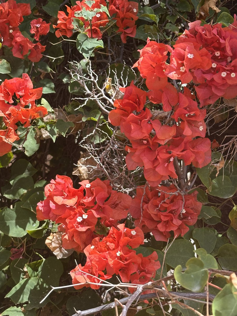 <a href="/DirtyGardenH0E/">Dirty Garden Hoe 🌱</a>