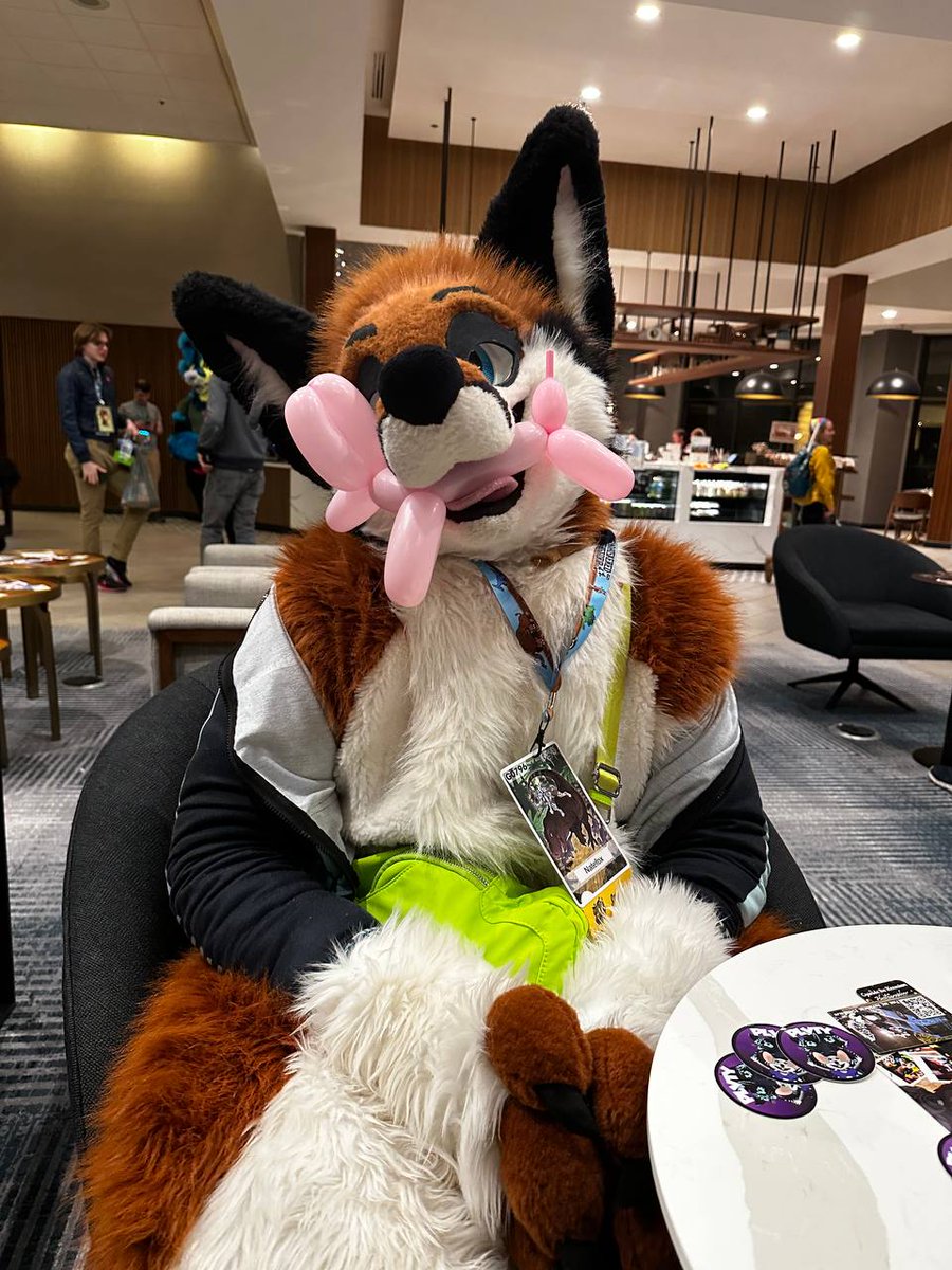 #bewhiskered  was a blast. Im gonna have to save it's a top contender for 1st place 🥳