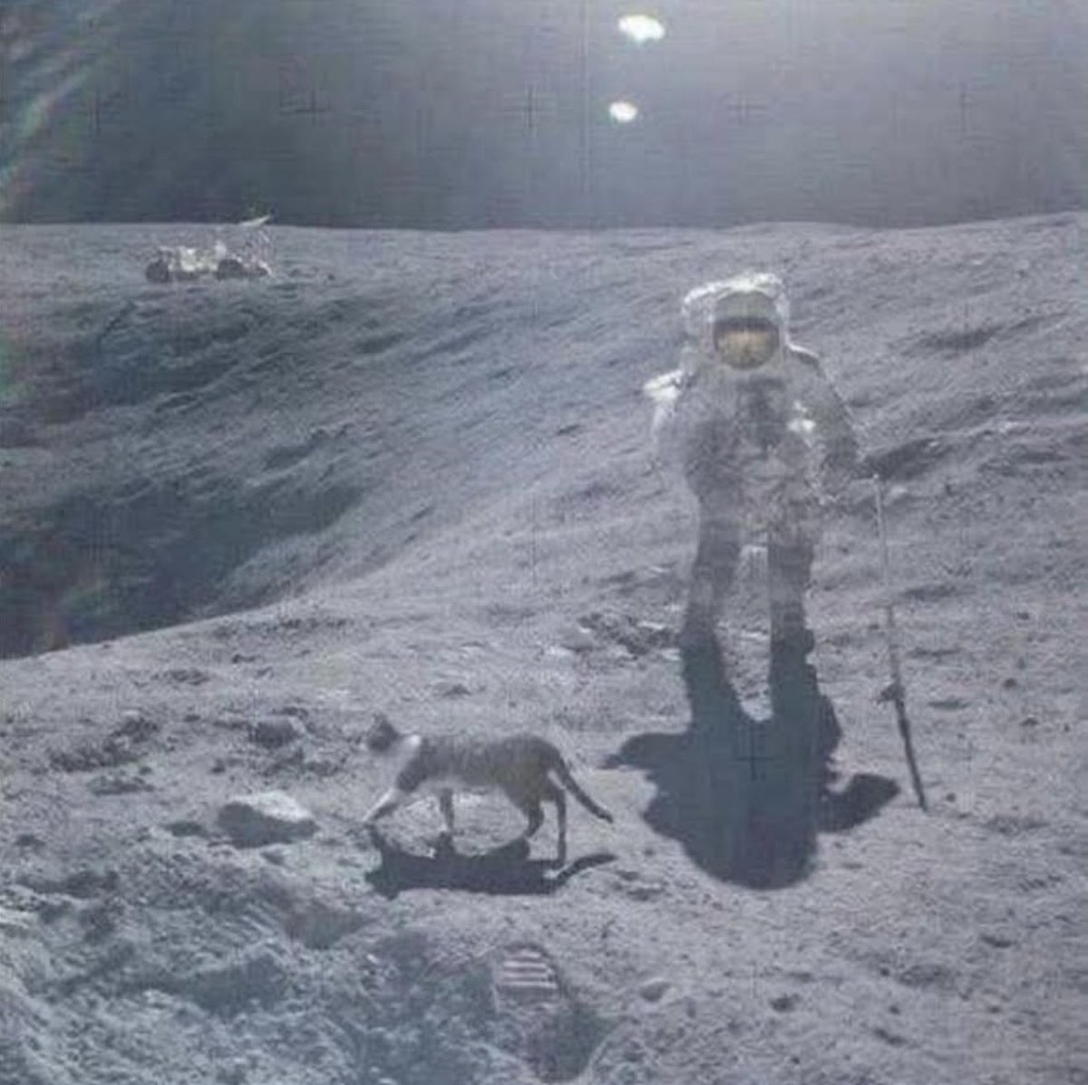 motoasaAi's tweet image. #ApolloProject