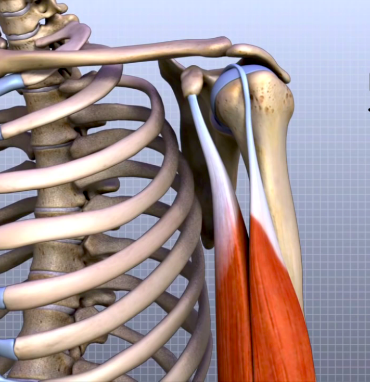 Hai dolore alla spalla? Non aspettare che peggiori!

Se avverti dolore, rigidità o difficoltà nei movimenti della spalla, potresti avere un problema che merita attenzione specialistica. Ignorare i sintomi può portare a peggioramenti e limitazioni nella tua vita quotidiana.