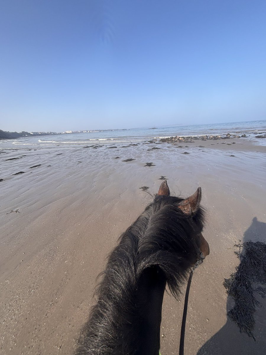 ManxShepherdess's tweet image. What a fantastic few days we’ve had! It might be #foolsspring but I’ll take it. 

The hats, coats, waterproofs and woolly jumpers have been cast aside for a few days after months of continuous wear. 

Great to feel some heat in the sun ☀️