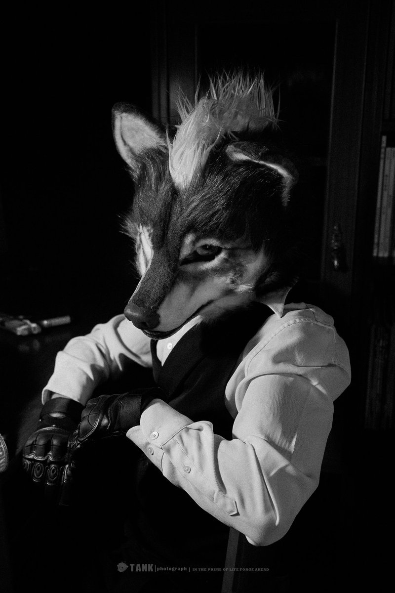 #furry #fursuit #FursuitEveryday #FursuitFriday 
📷:<a href="/JoshBeikal/">Beikal</a>