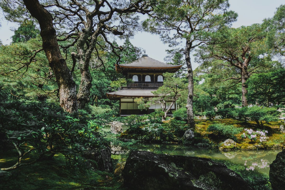 Top 3 destinations to visit in March

March is the perfect time to explore new places – fewer crowds, great weather and breathtaking scenery.

Check out our Facebook page for more information!