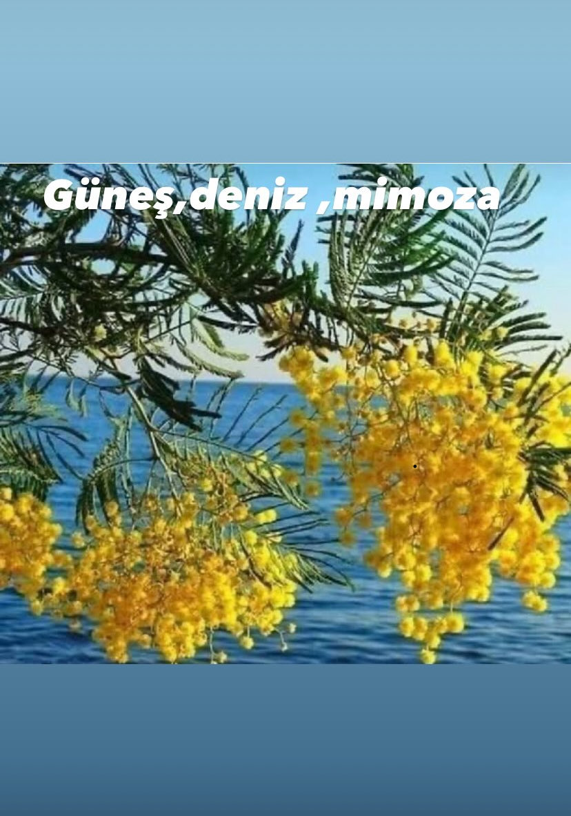 Baharın en güzel resmi