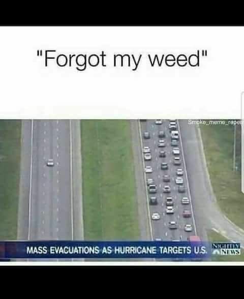 Stoner Barbie (@stonersvilla) on Twitter photo 