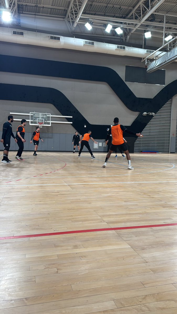 🤾🏾‍♂️ Handball