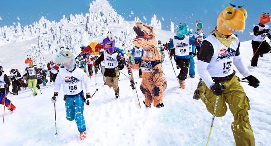 djwalkoff tweet media