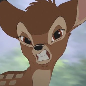 bambilivia's tweet image. pookies mad ASF