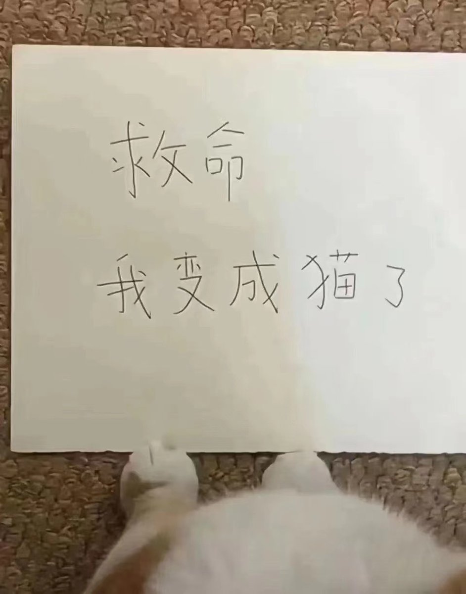 我复活回来了 以后会及时回私信的喵 这几天 都在微信上🥲
