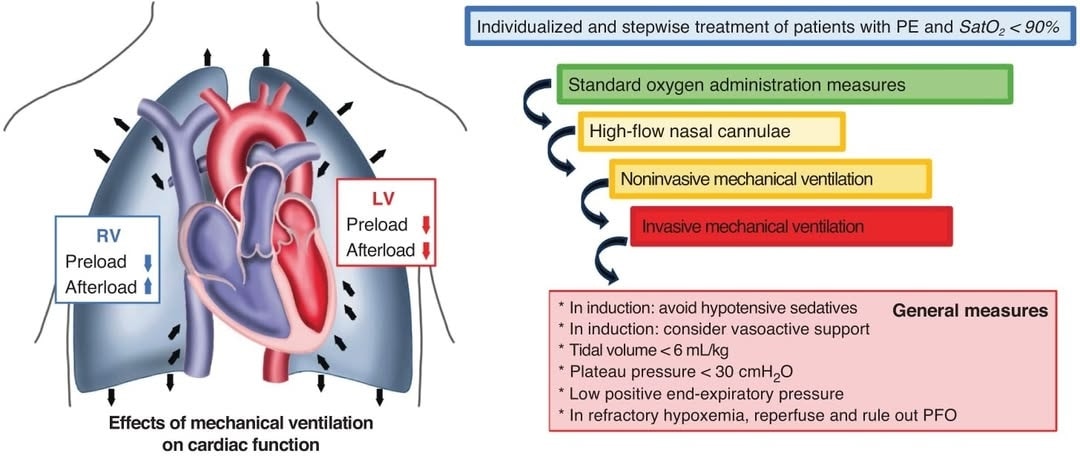 The Heart tweet media