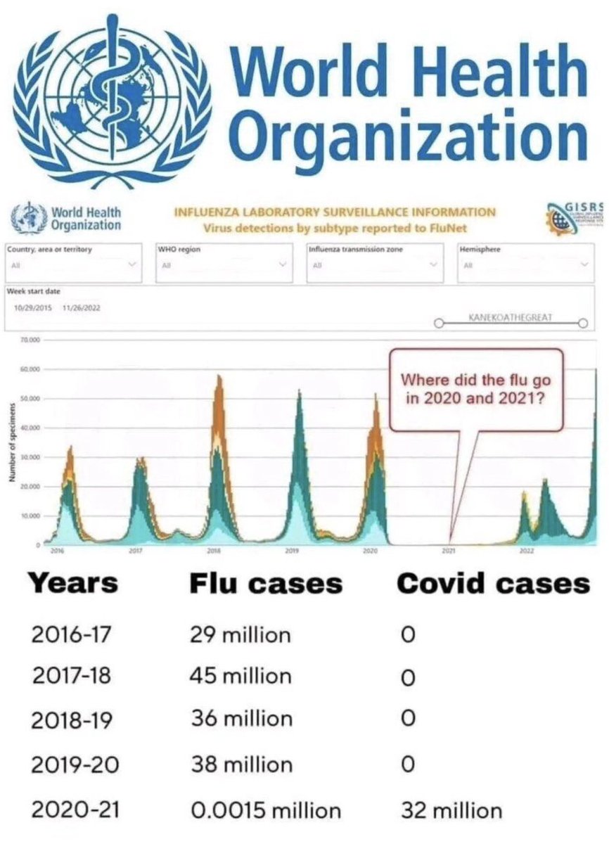 Crazy how the flu essentially disappeared for 2 years!

I wonder where it went 🤔