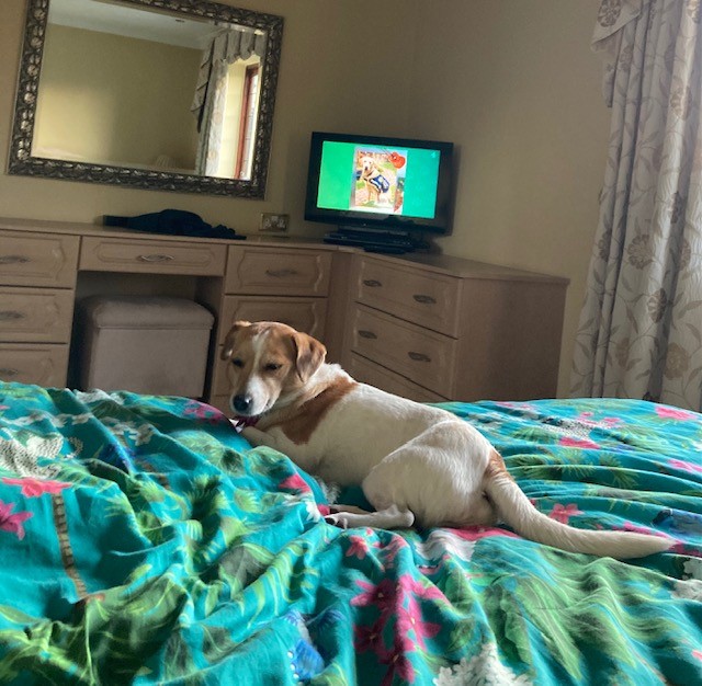 Hellena Taylor tweet media