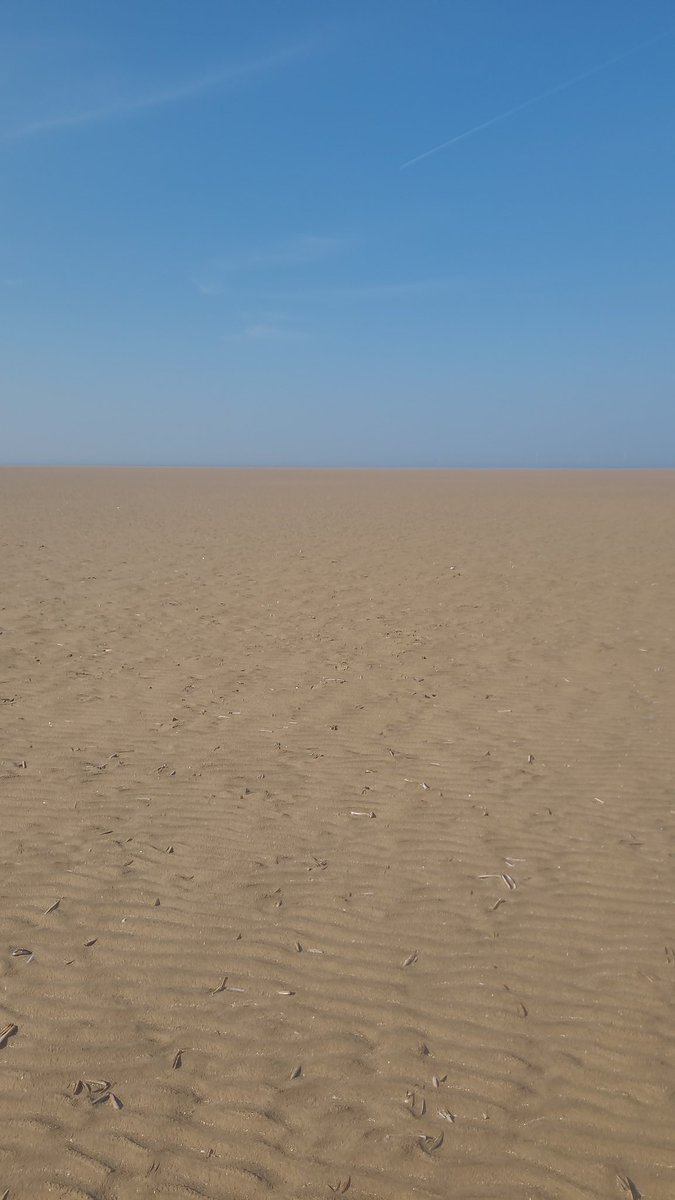 Felt like crossing a desert on the trek out to the black scoter✔️ in lovely weather at hoylake this afternoon