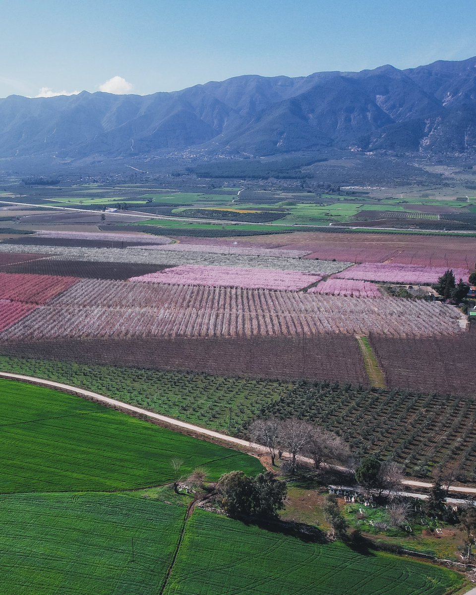 “Rüzgâr esiyor, nehir akıyor, bahar gelip geçiyor… Ve bütün bunlar, insan ruhunun fark edemediği bir sonsuzluk içinde sürüp gidiyor.”

Anton Çehov - Martı

📍Hatay

📸 <a href="/yldrmfatih13/">Fatih YILDIRIM</a>