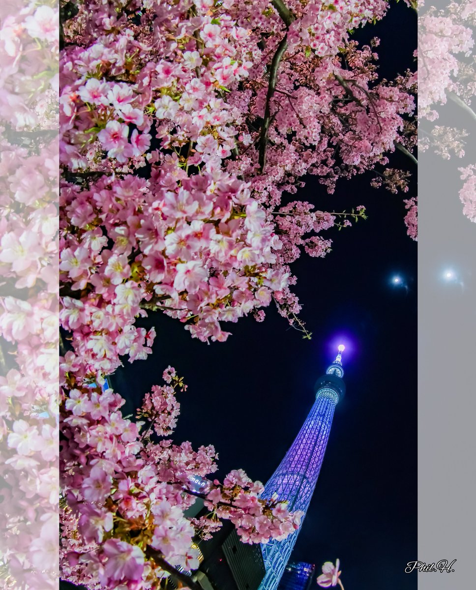 philkun_jp's tweet photo. Tokyo Skytree ce soir

#TokyoSkytree #東京スカイツリー #Tokyo #東京 #タワー #Japon #Japan #日本 #桜 #sakura #河津桜 #kawazusakura https://t.co/HD8Sfm4cIw