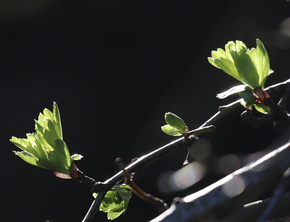 Frank Gardner tweet media