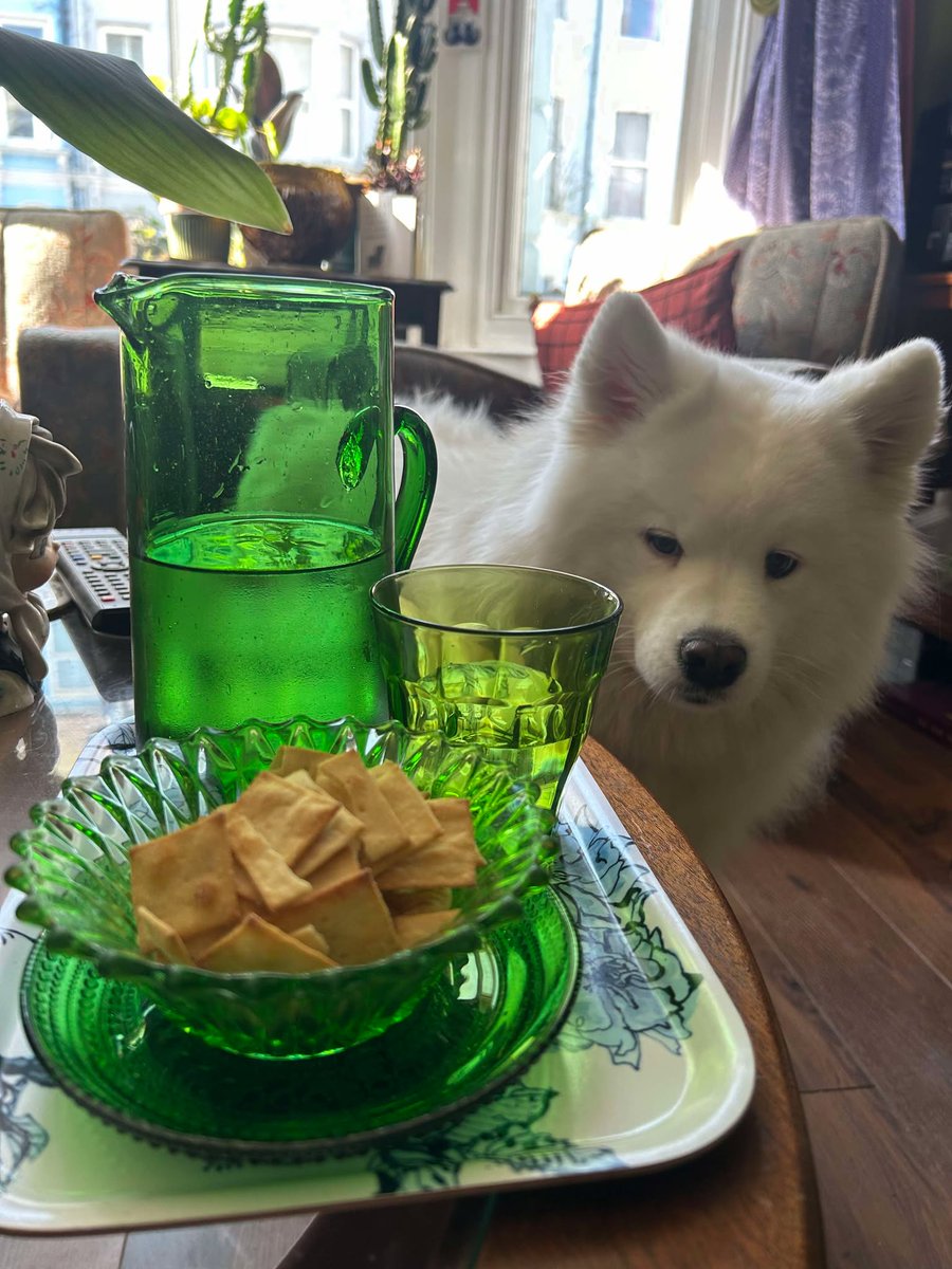 Fantastic Plastic tweet media