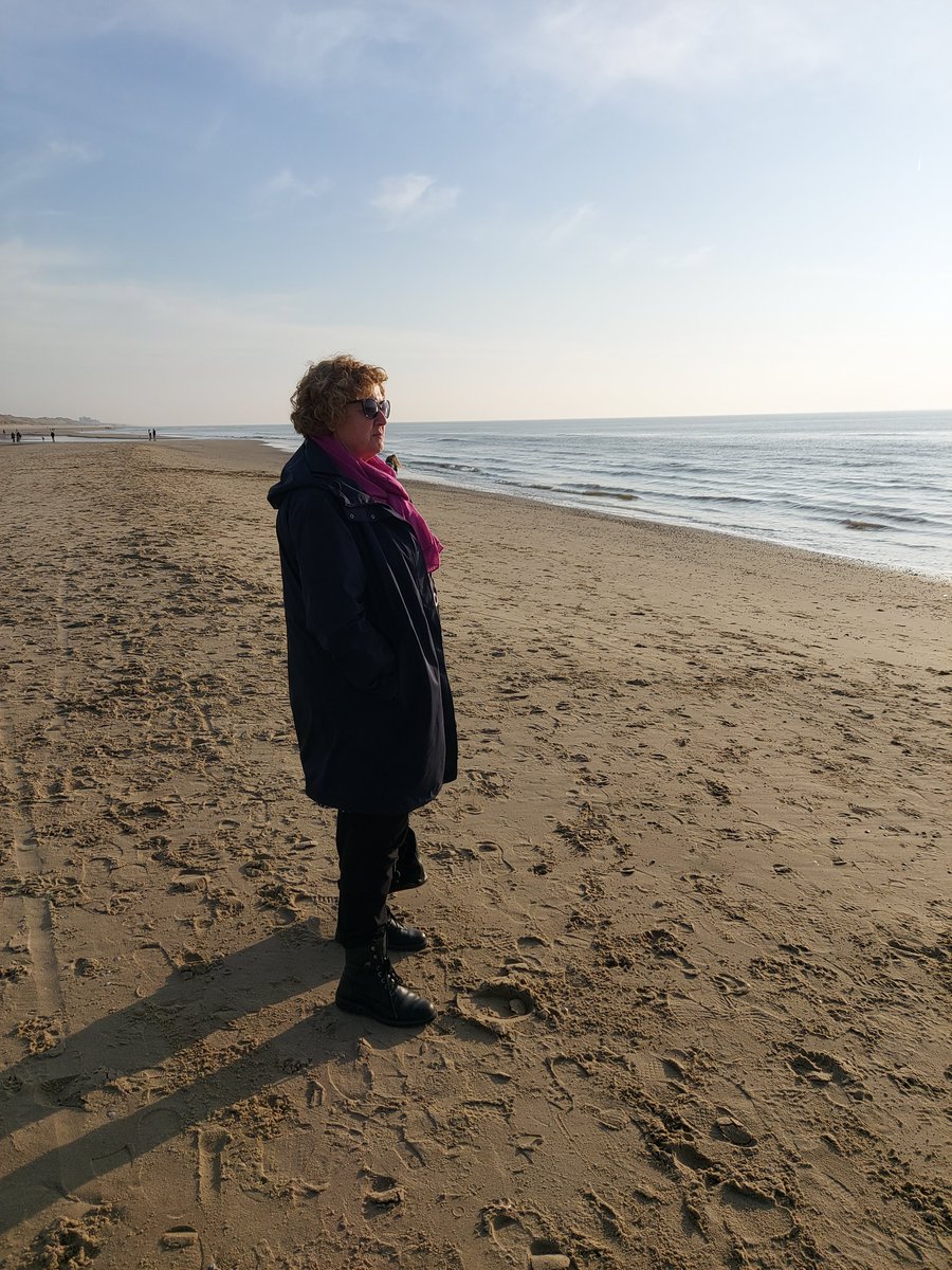 Terry van de Beek tweet media