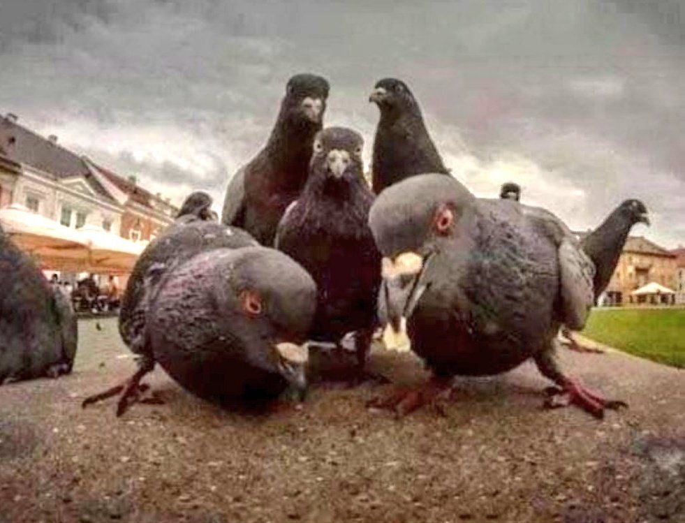 Un año más es un orgullo formar parte de este club lleno de titanes, porque son unos grandes