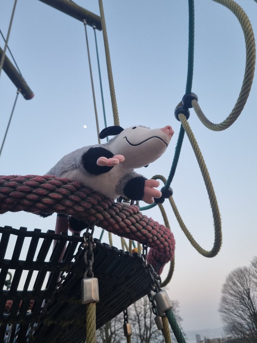 Anska (@anskakin) on Twitter photo We took Mr out on his first trip :D .thank you again <a href="/weightedwildlif/">Weighted Wildlife 🔜 TFF</a> for making sure I got him ^^. Everyone been loving him We took Mr out on his first trip :D .thank you again <a href="/weightedwildlif/">Weighted Wildlife 🔜 TFF</a> for making sure I got him ^^. Everyone been loving him