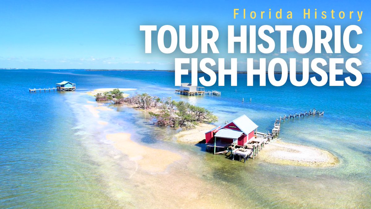 🌴 Caribbean Blogger tweet media