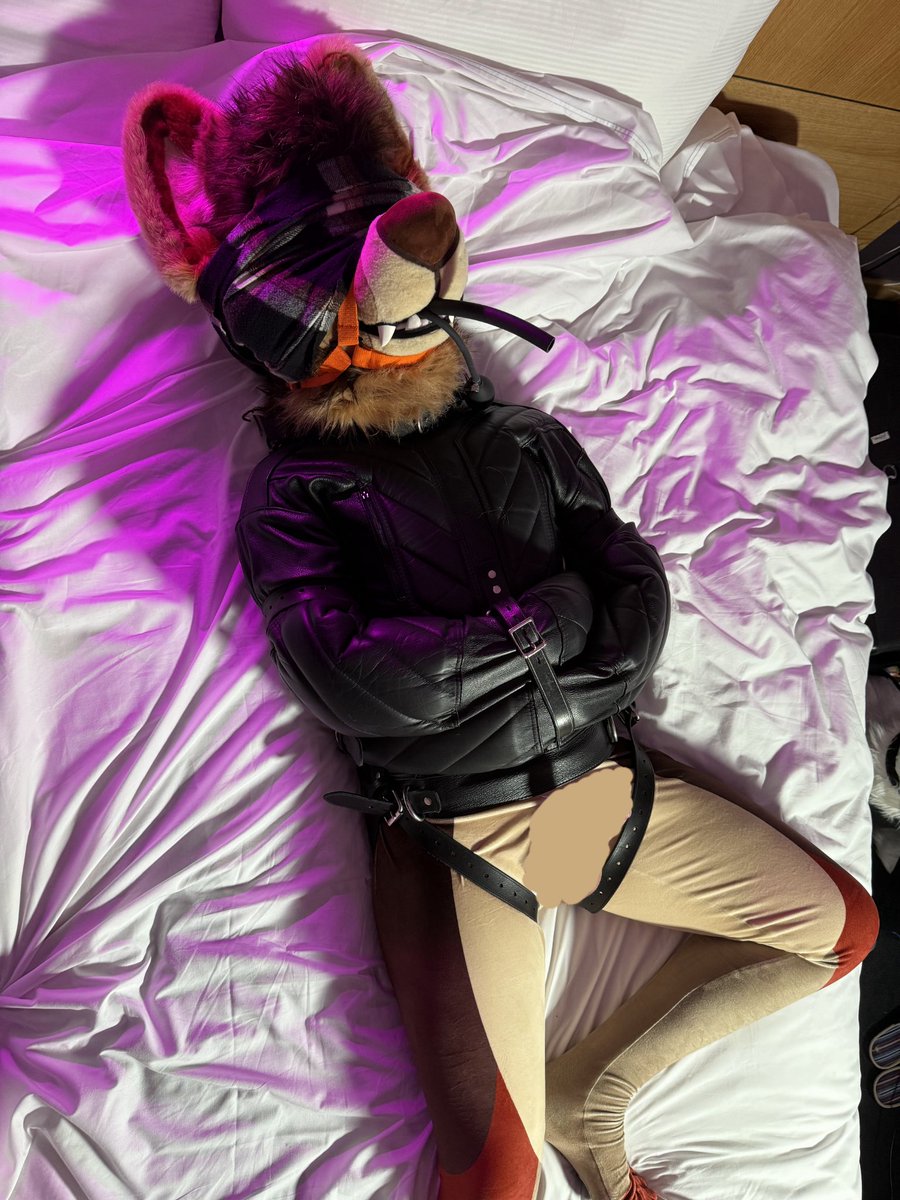 Detained by <a href="/Tau_Yote/">A Yote Called Tau</a> for excessive barking in the lobby. ⛓️