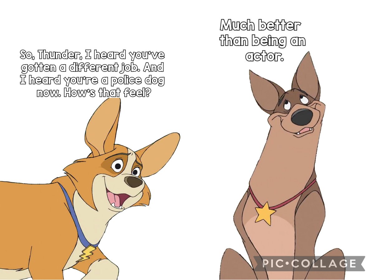 🐺Thunderbolt🐺 (@mightydogtbolt) on Twitter photo Me talking to my bestie <a href="/CorgiLighting__/">⚡️⚡️🐾Lιʅ 𝐿𝒾𝑔𝒽𝓉𝒾𝓃𝑔🐾</a> about how I'm a police dog. It's much better than being a TV actor. I can always serve and protect. Me talking to my bestie <a href="/CorgiLighting__/">⚡️⚡️🐾Lιʅ 𝐿𝒾𝑔𝒽𝓉𝒾𝓃𝑔🐾</a> about how I'm a police dog. It's much better than being a TV actor. I can always serve and protect.