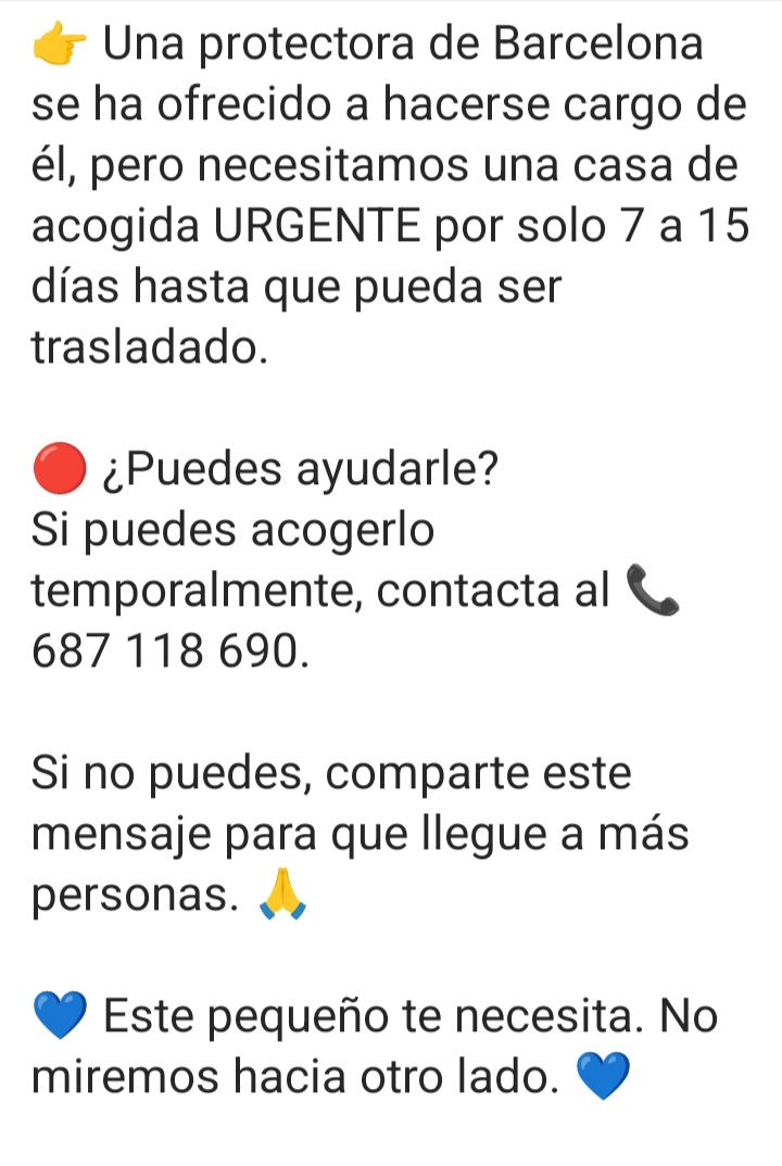 Marisa84157935's tweet photo. https://t.co/ZE58As5Pl9