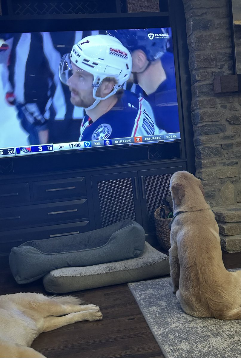 Kirk Herbstreit (@kirkherbstreit) on Twitter photo Peter dialed in pullin the Jackets home! (Theo shut it down early). Here we go boys! <a href="/BlueJacketsNHL/">Columbus Blue Jackets</a> Peter dialed in pullin the Jackets home! (Theo shut it down early). Here we go boys! <a href="/BlueJacketsNHL/">Columbus Blue Jackets</a>