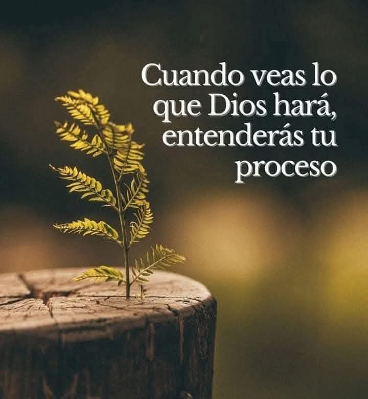Los procesos son parte de la vida, y en la vida de un creyente es parte de su vida.