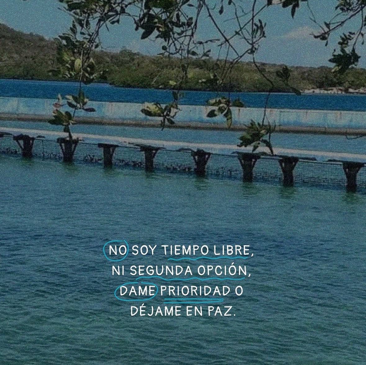 dilocondibujos_'s tweet photo. Dame prioridad o déjame en paz https://t.co/f6WMRXKYqB