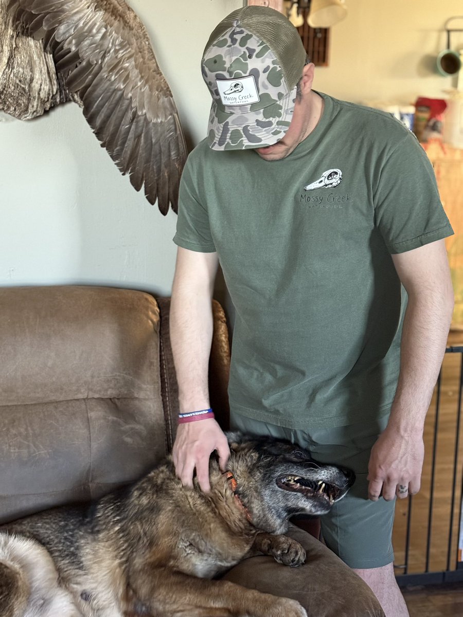 Lazy employees at <a href="/mcwaterfowl/">Mossy Creek Waterfowl</a>