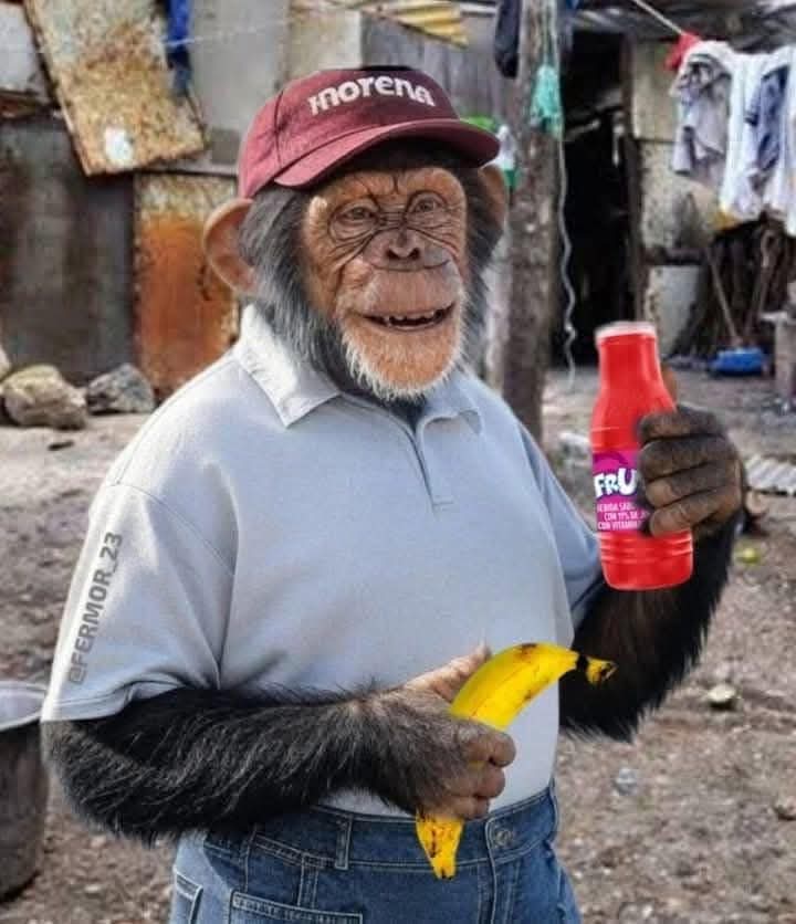 Aletse_04's tweet photo. Chairos regresando del Zócalo 👇🏼💥💥 https://t.co/LX9FnSpR1W