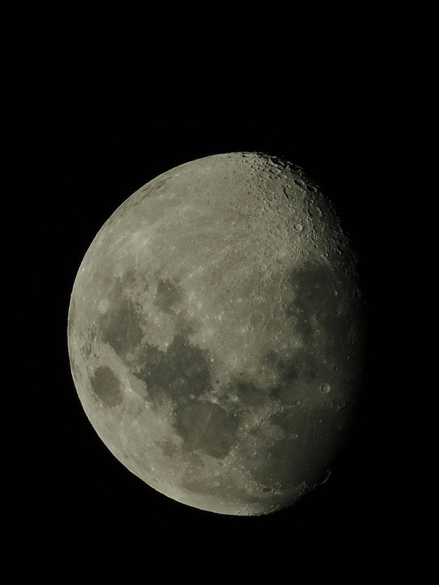 marchulaa's tweet photo. y un dia volví a sacar fotos, lunita de domingo 🌝 https://t.co/iIvb5G6O9n