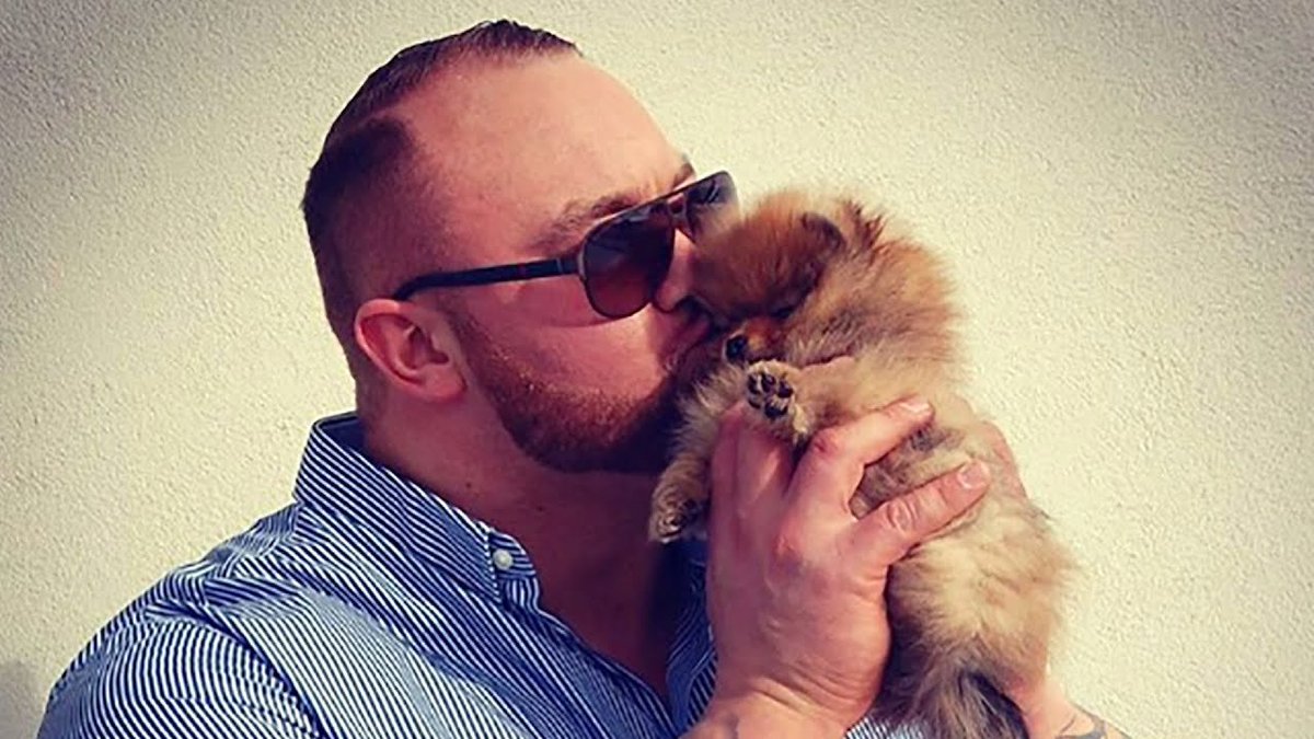 Bʝσɾɳ HαɾႦσυɾʂσɳ
══════════════

     ⊡  ꜰᴀʀᴍʜᴀɴᴅ ꜰᴏʀ ᴛʜᴇ ᴡʜɪᴛᴇ ꜰᴀʀᴍ
          ⊡  6'9" ɢᴇɴᴛʟᴇ ɢɪᴀɴᴛ
     ⊡  ʟᴏᴠᴇʀ ɴᴏᴛ ᴀ ꜰɪɢʜᴛᴇʀ

♡ &amp; ↻ ᴀᴘᴘʀᴇᴄɪᴀᴛᴇᴅ