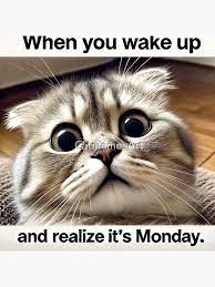 marillion13's tweet photo. A heavy birth, as we Germans´d say, when your #Printerest addon doesn´t work and you have to uninstall and reinstall it - like - 10 times to be able to pin your cat memes screenshots too... https://t.co/Zz0H9A5JfO