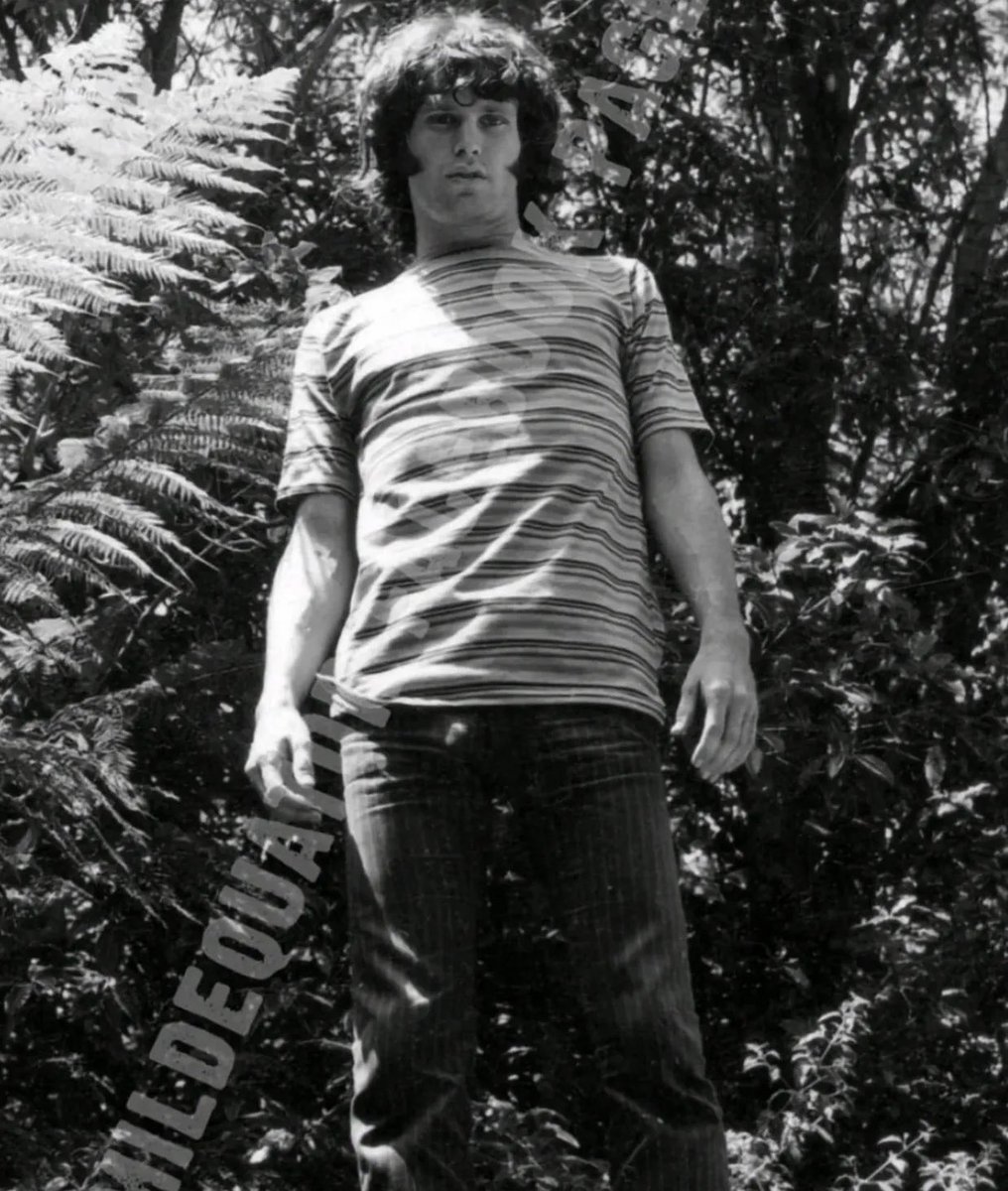 mojorised's tweet photo. Jimmy https://t.co/hAoYtmXEnp