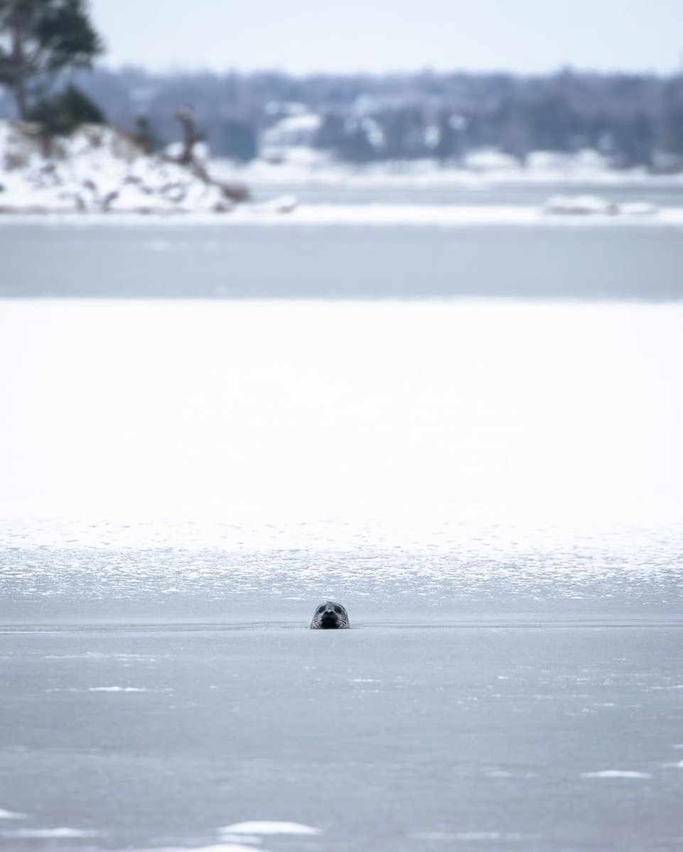 Welcome PEI tweet media