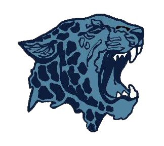 NEO Zone HS Sports tweet media