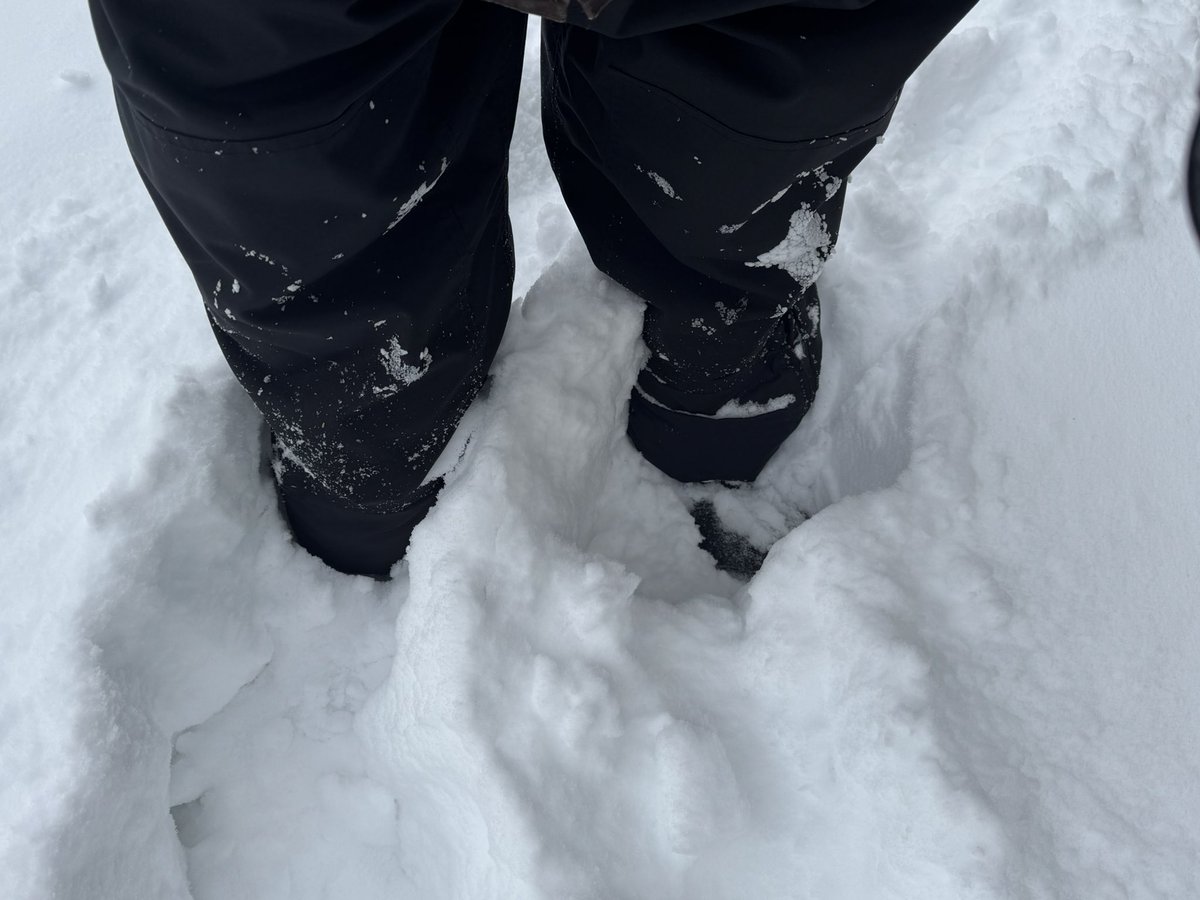 Angel Zeno tweet media