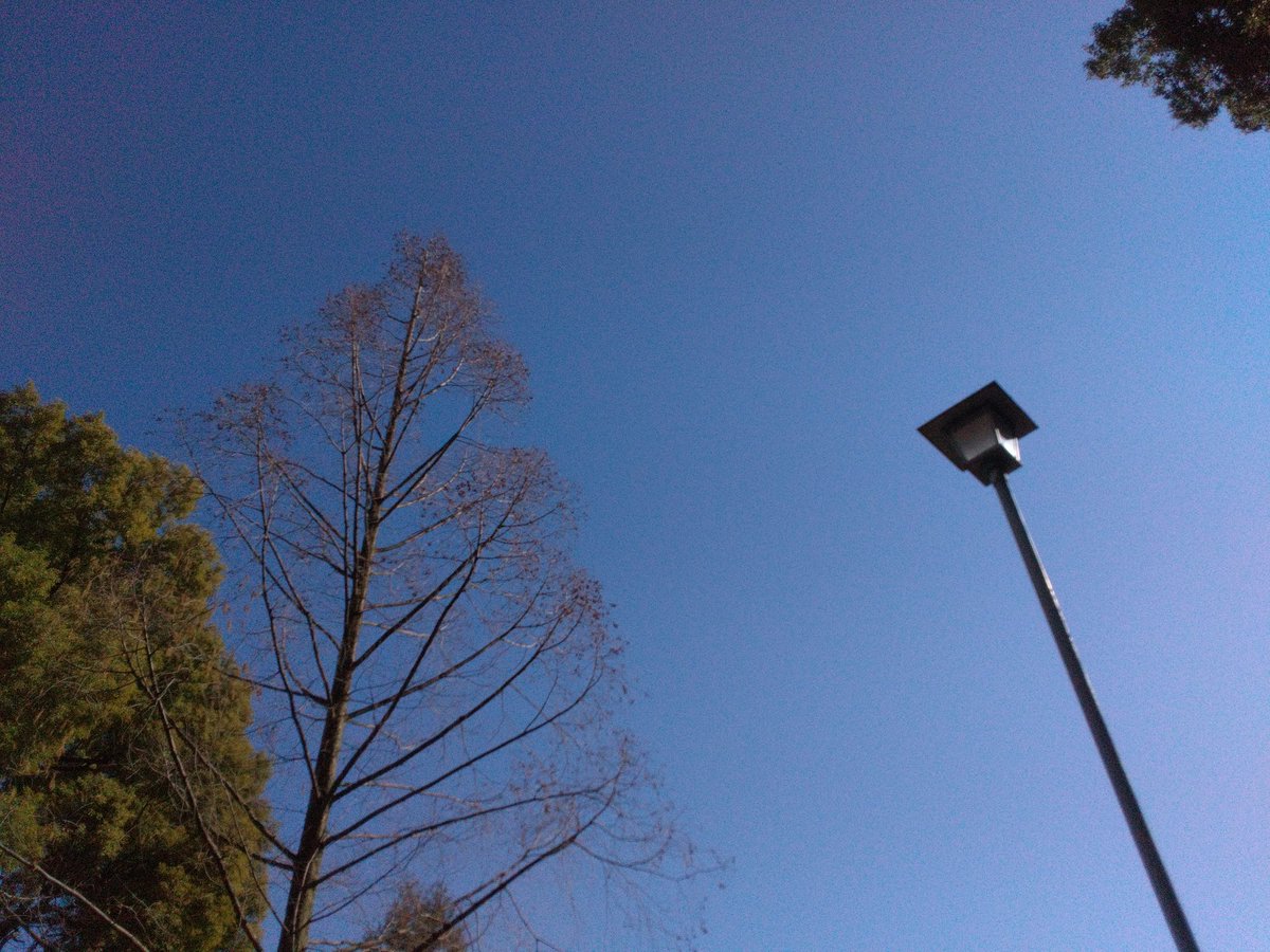 LSS85174130's tweet photo. おはようございます。

今朝の空模様は晴れ☀

#今日は何の日 
#東海道・山陽新幹線全通記念日

週の始まり月曜日！
今日も頑張って行きましょう〜♪

本日も体調管理と感染症対策に
気を付けてお過ごし下さい。

#名古屋市中区 
#大須 
#イマソラ https://t.co/xTe1nng0xy