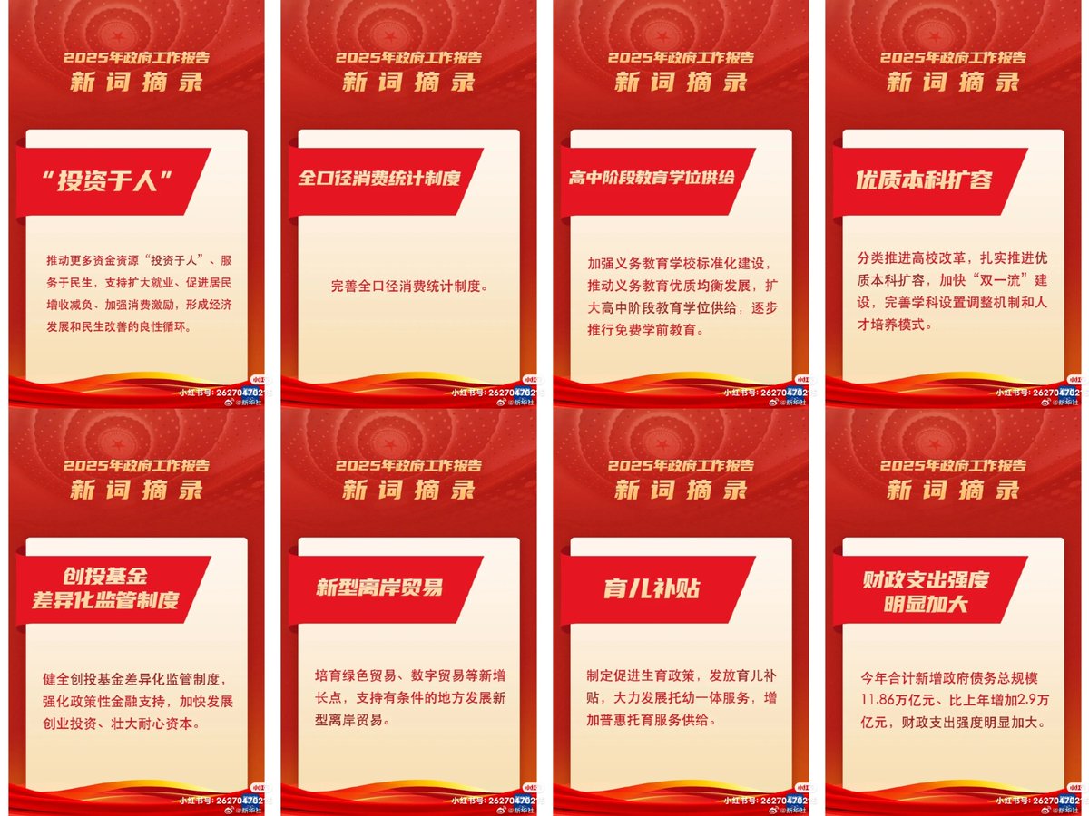 2025年政府工作报告新词摘录❤️
