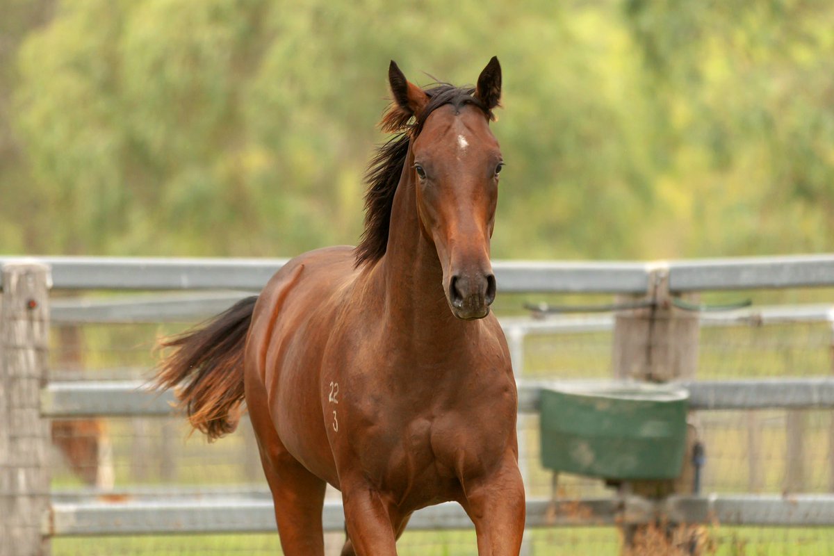WillowParkStud tweet media