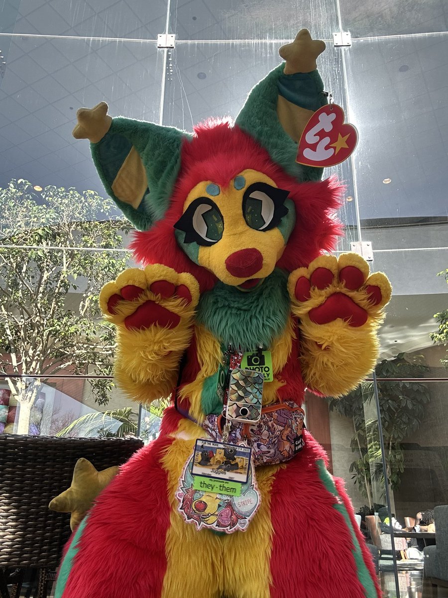 Gummi | Parker tweet media